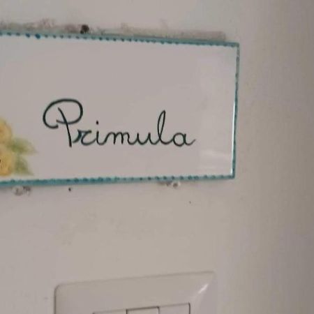 Апартаменты Il Glicine - Primula Пачиано Экстерьер фото